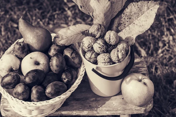 Herbstfrüchte und Walnüsse — Stockfoto