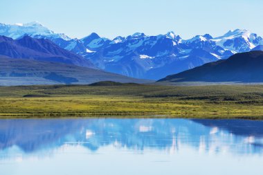 Alaska'daki dağlarda yaz