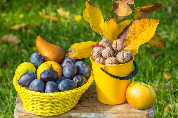 Frutta autunnale e noci — Foto Stock