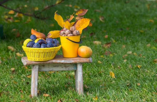 Frutta autunnale e noci — Foto Stock