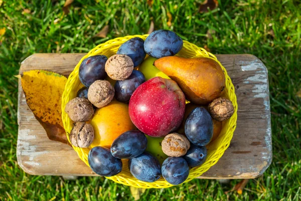 Frutas e nozes de outono — Fotografia de Stock