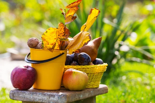 Podzimní ovoce a ořechy — Stock fotografie