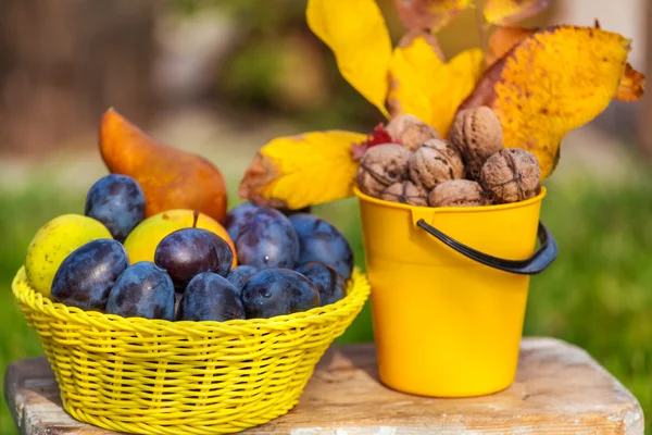 Őszi gyümölcs és dió — Stock Fotó