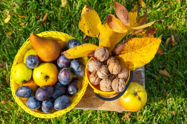 Frutta autunnale e noci — Foto Stock