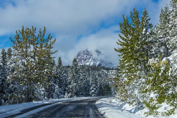 Inverno nel Parco del Ghiacciaio — Foto Stock