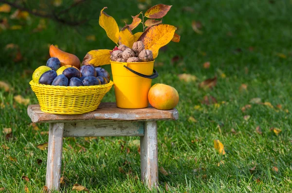 Gyümölcs és dió a kertben. — Stock Fotó