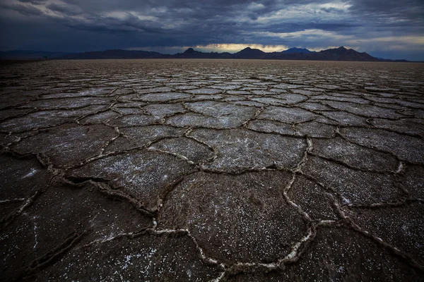 Deserto de sal no utão — Fotografia de Stock