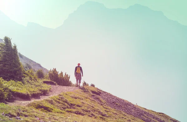 Escursionismo uomo nelle montagne canadesi — Foto Stock