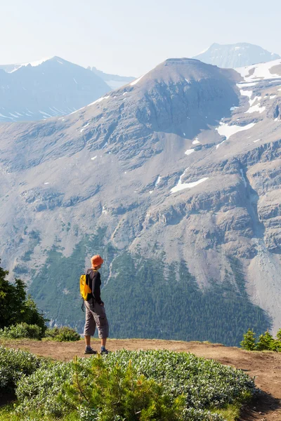 Caminhadas homem nas montanhas canadenses — Fotografia de Stock