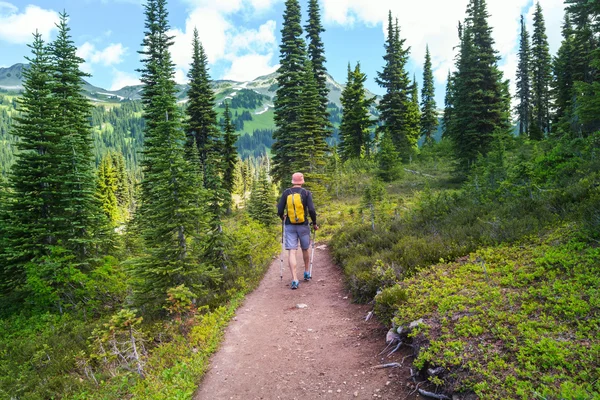 Kanada dağlarında yürüyüş adam — Stok fotoğraf