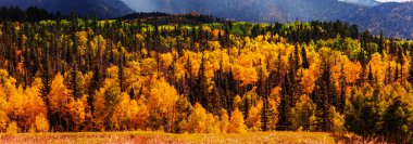 Colorful autumn in mountains clipart