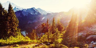 mt.Baker alanı