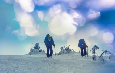 Hikers in the winter mountains clipart