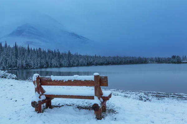 Invierno en Glacier Park — Foto de Stock