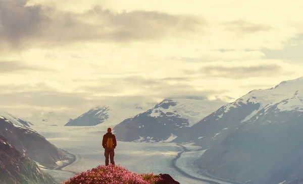 Hike in Canadian mountains — Stock Photo, Image