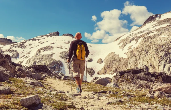 山の中のハイキング男 — ストック写真