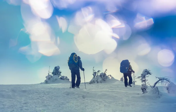 Senderistas en las montañas de invierno — Foto de Stock