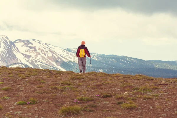 Wandelen in Canadese mountains — Stockfoto