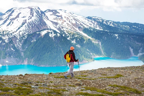 Hike in Canadian mountains — Stock fotografie