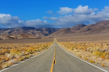 Kırsal kesimde yol