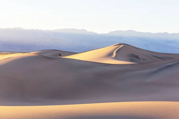 사막에서 모래 언덕 — 스톡 사진