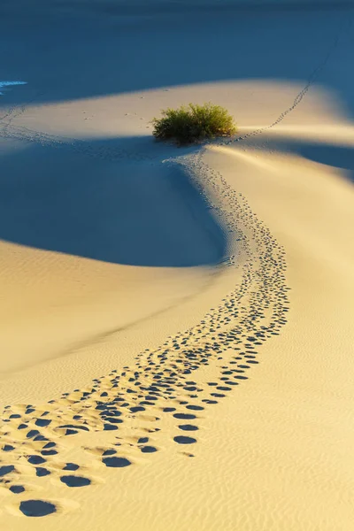 사막에서 모래 언덕 — 스톡 사진
