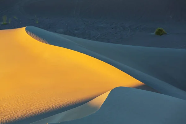 Sanddüne in der Wüste — Stockfoto