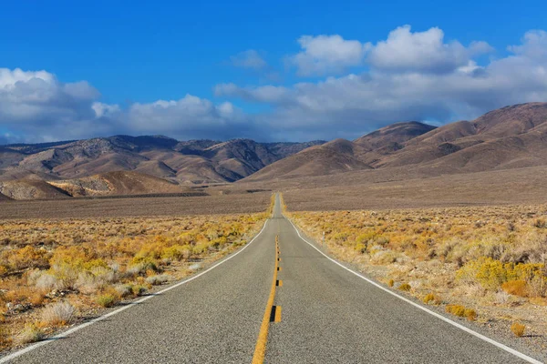 Road in the prairie country — Stock Photo, Image