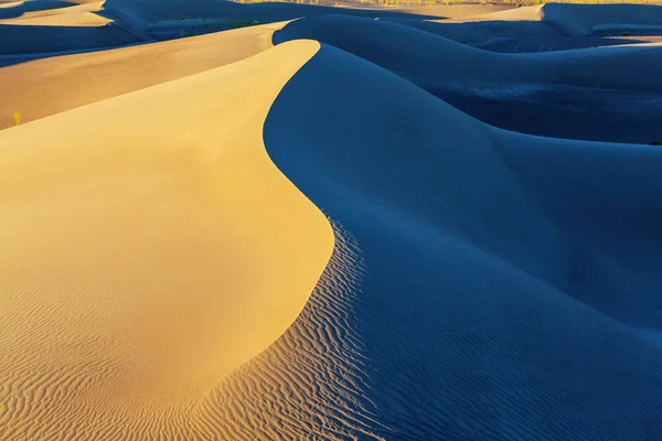 Duna de areia no deserto — Fotografia de Stock