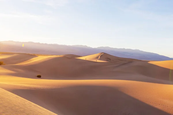 Dune di sabbia nel deserto — Foto Stock