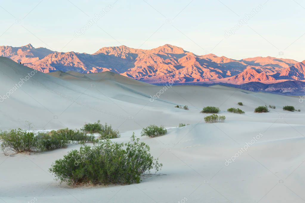 Sand dune in desert 