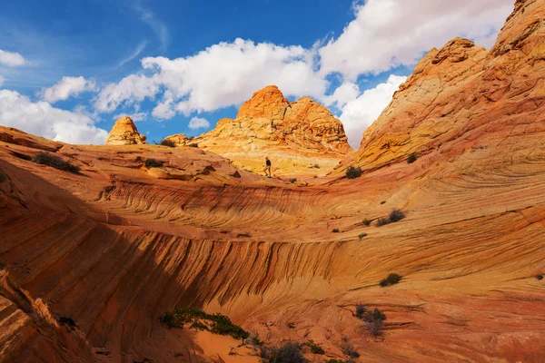 Picturesque Coyote Buttes — Stock Photo, Image