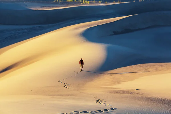 Randonneur dans le désert de sable — Photo