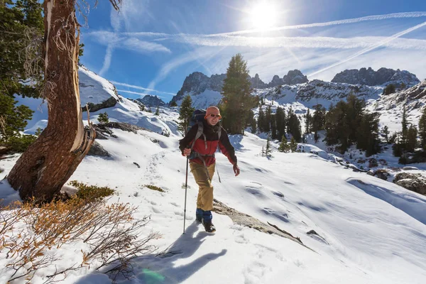 Hiker in sand desert — Stock Photo, Image