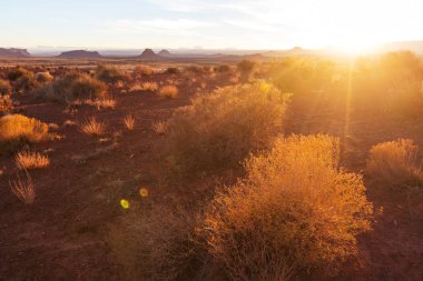 Pitoresk Prairie manzaralar