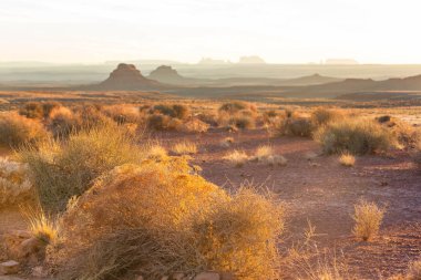 Pitoresk Prairie manzaralar