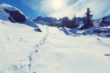 Sierra nevada Dağları