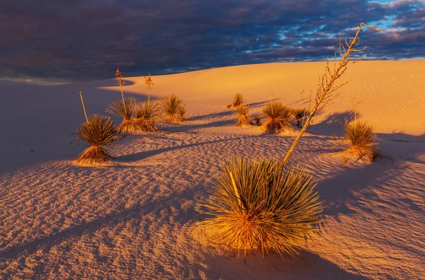 White Sands Ulusal Anıtı — Stok fotoğraf