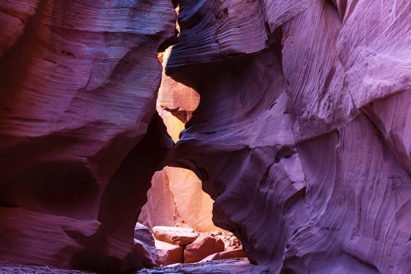 ABD kanyonda yuvası — Stok fotoğraf