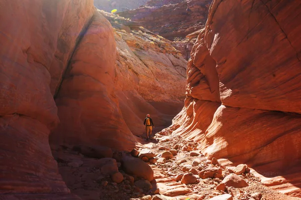 ชายในช่องหุบเขาคาสิโนในบันไดแกรนด์ Escalante อุทยานแห่งชาติ — ภาพถ่ายสต็อก