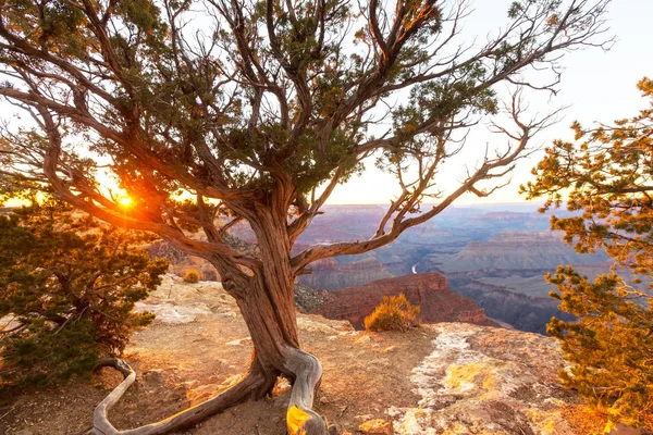 Malebnou krajinu Grand Canyon — Stock fotografie