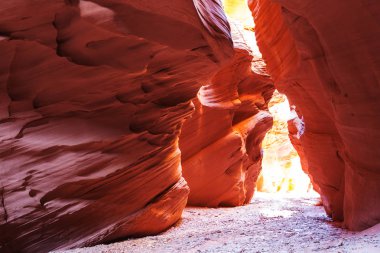 Yuvası Kanyon Grand merdiven Escalante Ulusal Parkı içinde