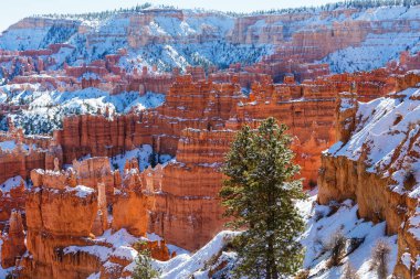 Kışın Bryce canyon 