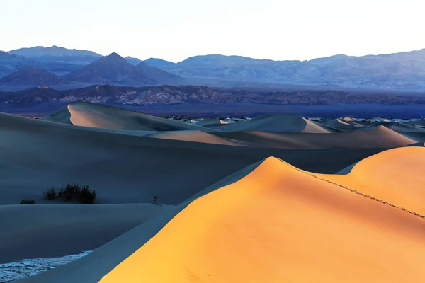 Belles dunes de sable — Photo
