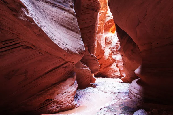 Canhão de fenda em Grand Staircase Escalante National Park — Fotografia de Stock