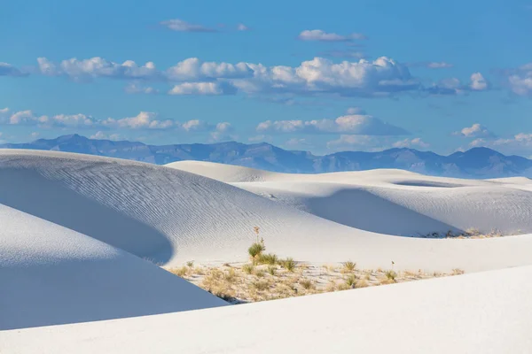 Dunes de sable blanc inhabituelles — Photo
