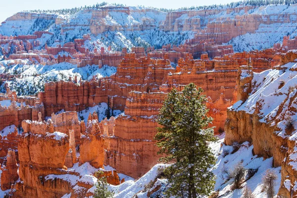 Bryce Canyon télen — Stock Fotó
