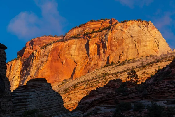 Parco nazionale di Zion — Foto Stock