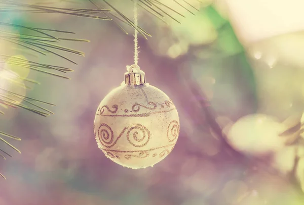 Decoración de Navidad en rama de árbol —  Fotos de Stock