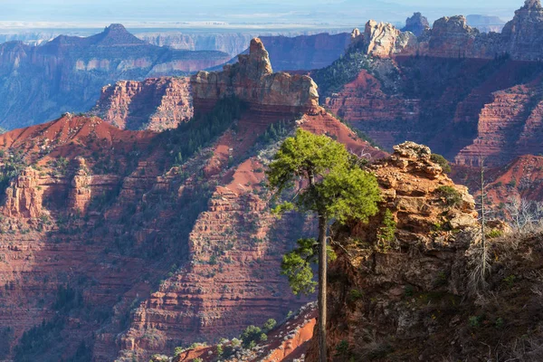 Pittoreske landschappen van de Grand Canyon — Stockfoto